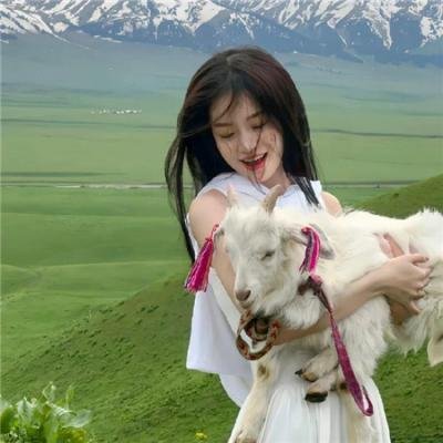 生命中的岛屿